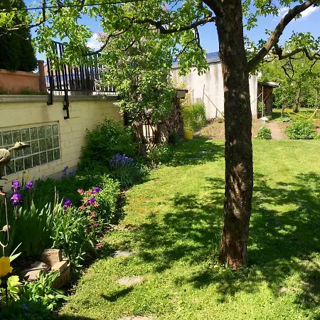 Gaestehaus Hoffmann 3* Detzem