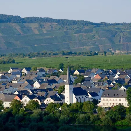 Gaestehaus Hoffmann Bed & Breakfast Detzem