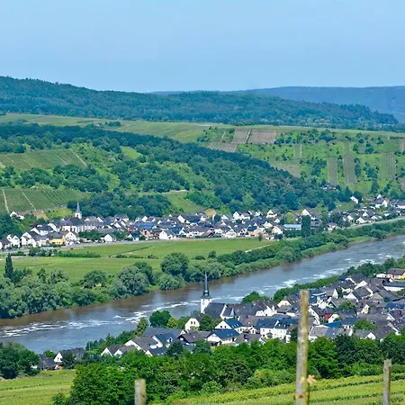 Gaestehaus Hoffmann 3* Detzem