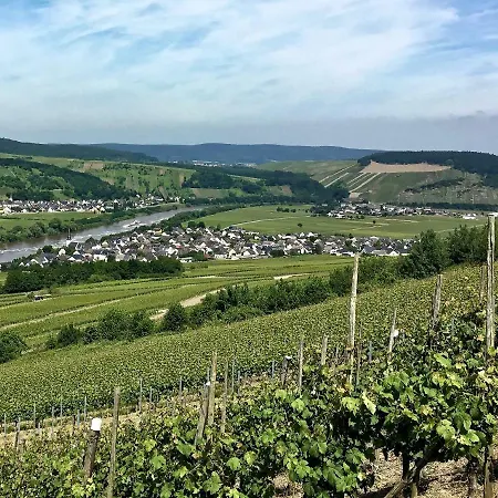 Bed & Breakfast Gaestehaus Hoffmann