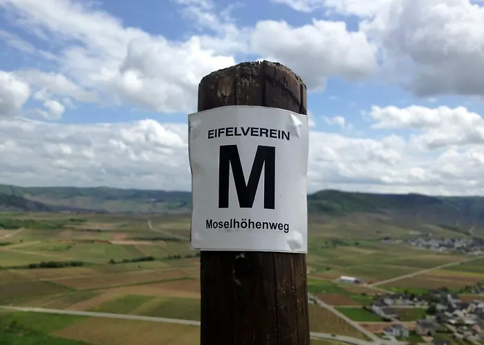 Gaestehaus Hoffmann Bed & Breakfast Farschweiler