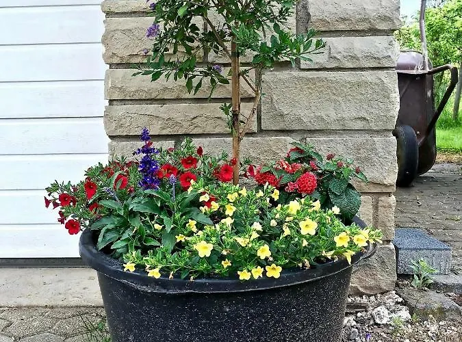 Gaestehaus Hoffmann 3* Farschweiler