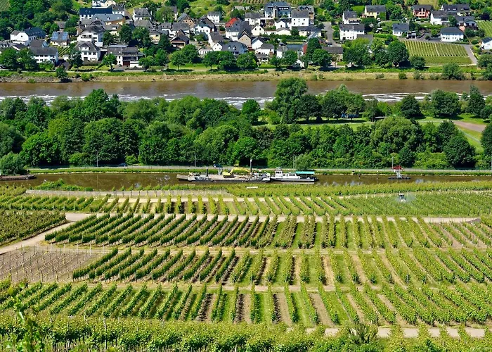 Gaestehaus Hoffmann 3*