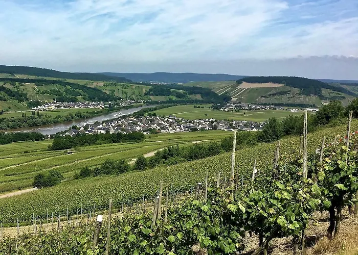 Bed & Breakfast Gaestehaus Hoffmann